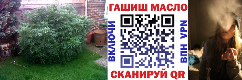 ТГК концентрат  магазин  наркотиков  Назрань 
